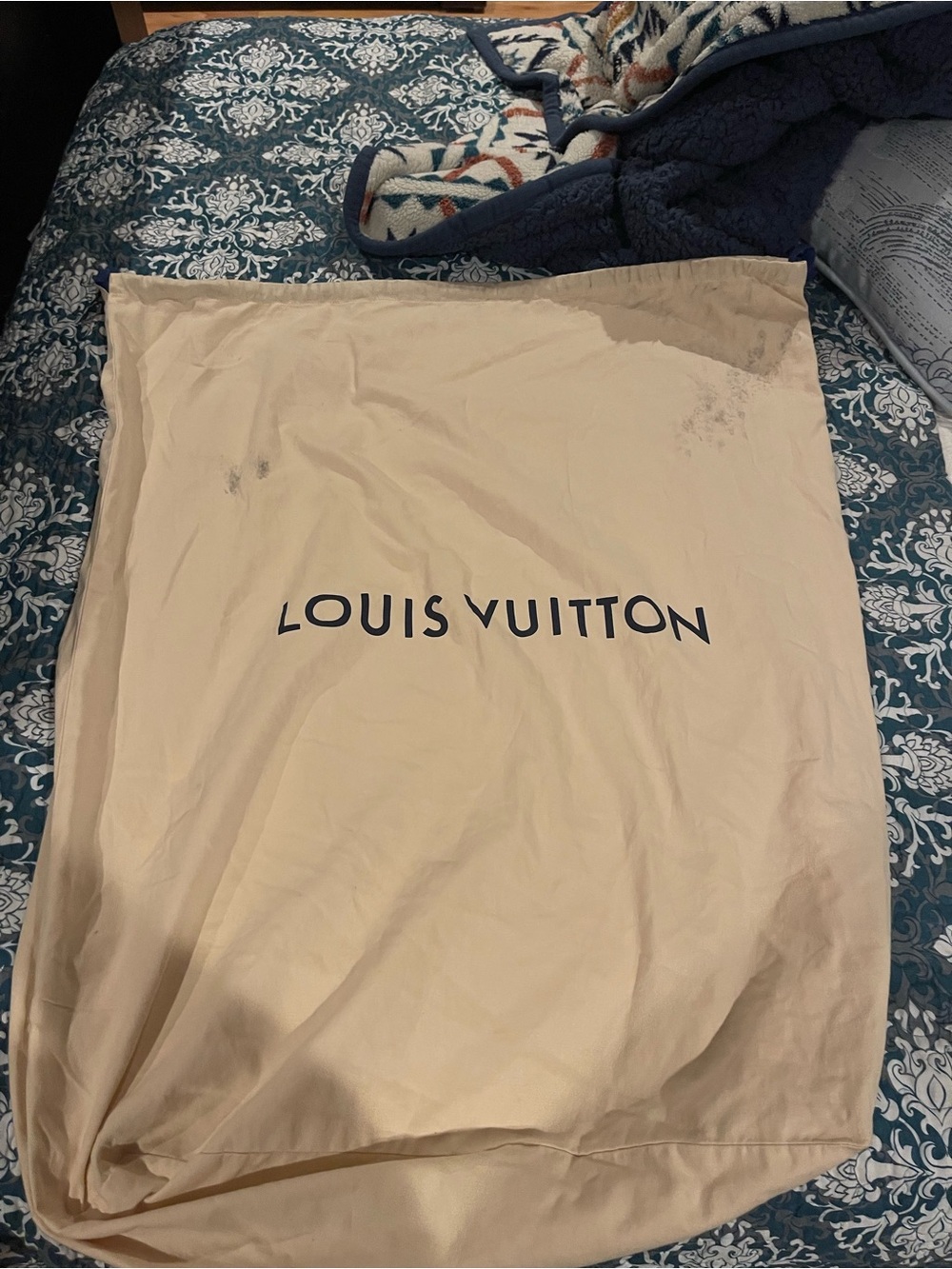 Louis Vuitton protector bag